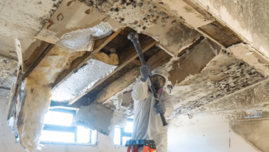 Thorough Mold Remediation Services for a Healthy Environment