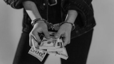 fraud activity detection commands