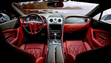 performance and opportunity overview