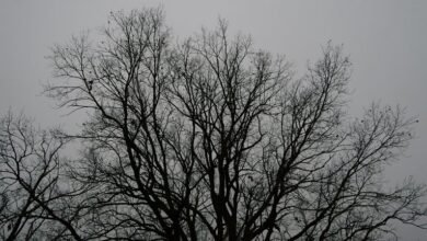 precision identifier validation outline